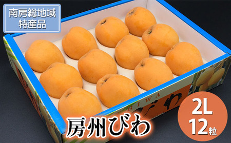 【数量限定】生産者直送房州びわ2Lサイズ以上×12粒(化粧箱入り)