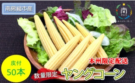 【先行受付 2023年6月中旬よりお届け】数量限定!ヤングコーン(ベビーコーン)50本