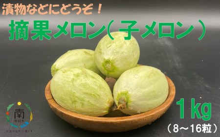 お漬物にぴったり 安田農園の摘果メロン（子メロン）1kg | 千葉県南