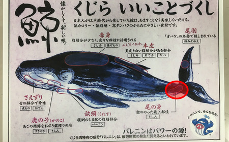ひげ鯨(イワシ鯨・ナガス鯨・ニタリ鯨)尾肉1kg mi0012-0049