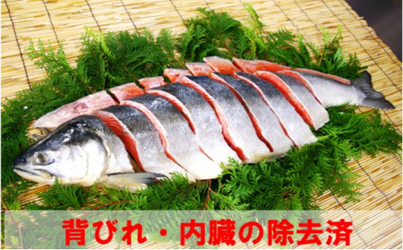 【約1.4kg】北海道産新巻鮭1本（塩鮭切身） mi0012-0088