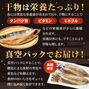 さば文化干し2枚入り×3パック（ノルウェー産） mi0012-0103 ｻﾊﾞ 鯖 干物 文化干し 魚 食品 加工品 おかず 朝食