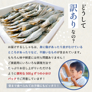 訳あり ししゃも 子持ちシシャモ 1.5kg (500g×3袋) 傷 小分け mi0012-0116
