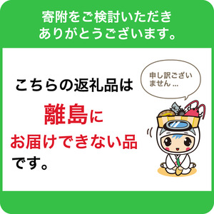 房州産大伊勢えび　約1kg 海老 海産物 海鮮 高級食材 贈答品 mi0014-0003