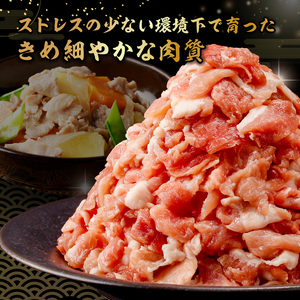 里見和豚　小分け　小間切れ800g（100g×8パック）個別包装　トレイ不使用 mi0017-0008 こま切れ 豚 肉 小分け