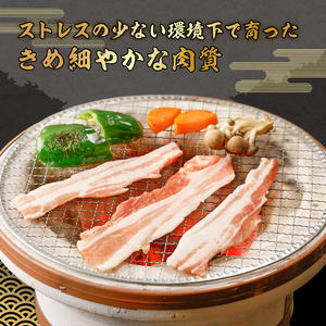 房総ブランド豚 里見和豚 鍋・すき焼き用 mi0017-0019