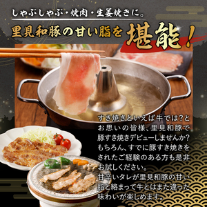 房総ブランド豚 里見和豚 鍋・すき焼き用 mi0017-0019