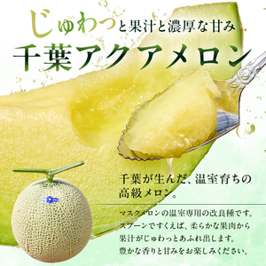 【定期便】【TVで紹介!】千葉アクアメロン1玉(1.2Kg)【3か月連続お届け】 mi0018-0004