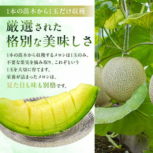 【定期便】【TVで紹介!】千葉アクアメロン1玉(1.2Kg)【3か月連続お届け】 mi0018-0004