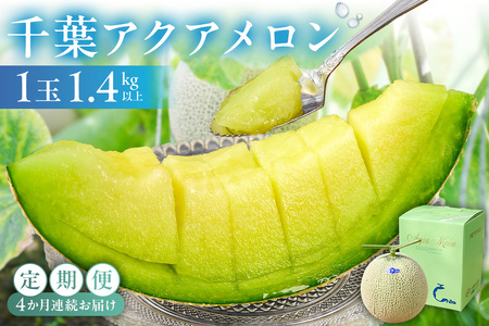 【定期便】【TVで紹介！】千葉アクアメロン1玉（1.4Kg）【4か月連続お届け】 mi0018-0005