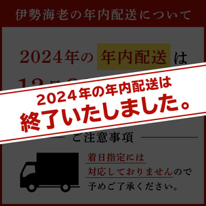 【天然】甘み凝縮！活〆冷凍伊勢海老900ｇ以上（300ｇ×3尾） mi0020-0003