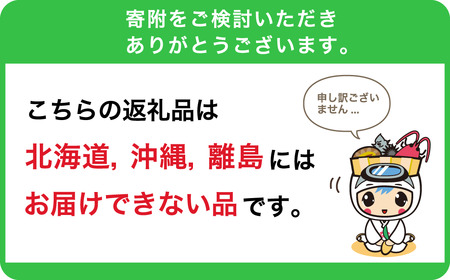 【頒布会】千葉県産魚介・お魚12カ月定期便 mi0022-0019