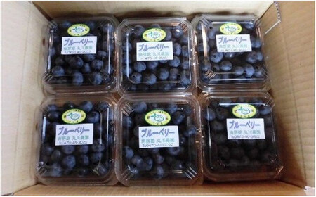 【先行受付 2026年7月中旬から順次発送予定】約200g×6パック　南房総の里山で育まれたブルーベリー mi0026-0001