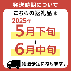 【先行受付　2024年5月末よりお届け】『房州枇杷（ビワ） 3Lサイズ12粒入』完熟枇杷を農家から直送！ mi0039-0012