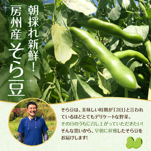 【先行受付 2026年4月中旬～5月中旬発送予定】そら豆/ソラマメ3kg mi0044-0009 豆 