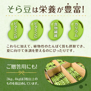 【先行受付 2026年4月中旬～5月中旬発送予定】そら豆/ソラマメ3kg mi0044-0009 豆 