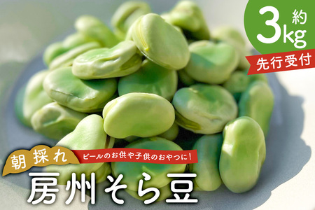 【先行受付 2026年4月25日頃～5月中旬発送予定】朝採れ房州そら豆3kg mi0046-0004