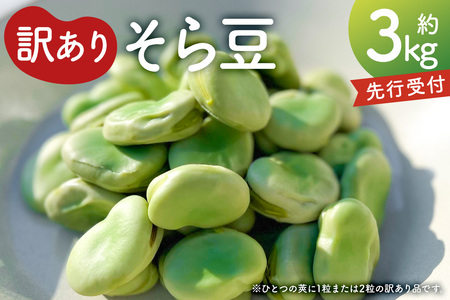 【先行受付2026年4月下旬よりお届け】（訳あり）そら豆3kg mi0046-0006