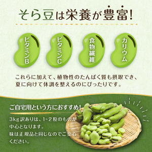 【先行受付2026年4月下旬よりお届け】（訳あり）そら豆3kg mi0046-0006
