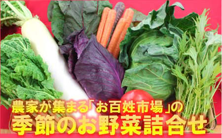 【南房総市産】季節のお野菜詰め合わせ mi0047-0001