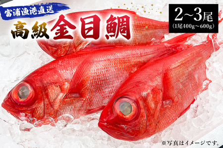 富浦漁港直送　「金目鯛」 mi0051-0005