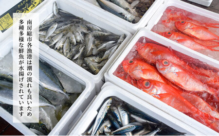 南房総市特産「金目鯛ひらき」4枚 mi0051-0008