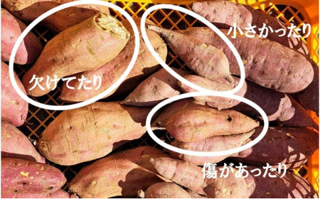 【思いやり型返礼品】【2025年12月上旬~2026年1月下旬発送予定】訳あり さつまいも(土付き)(紅はるか)サイズ、形不揃い mi0061-0004