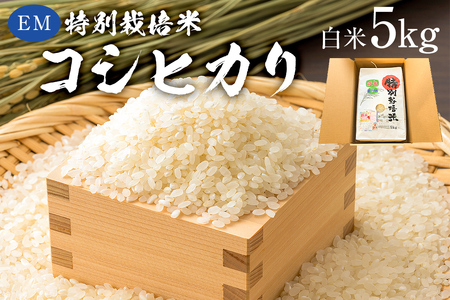 【2023年産】EM特別栽培米こしひかり　白米5kg mi0068-0004
