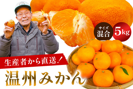 【先行受付 2025年11月20日頃から順次発送】 温州みかん 5kg【サイズ混合】 mi0032-0002-3 みかん ミカン 甘み 酸味 フルーツ 果物 柑橘