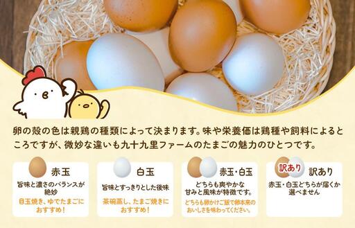 九十九里ファームこだわりたまご贈答用30個～あおい海・みどりの里～《赤玉》 ／ たまご 卵 玉子 タマゴ 生卵 卵かけご飯 鶏卵 30個