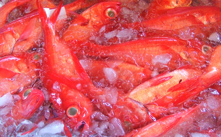 金目鯛の姿煮【小】(約500g)