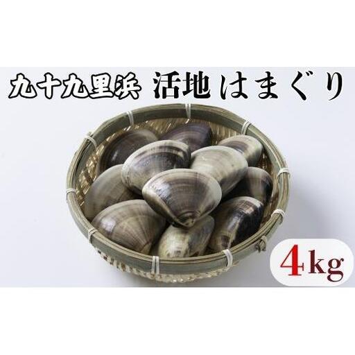 九十九里浜産　活地はまぐり約4kg