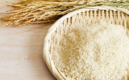 《令和7年産》黒米・塩米（ミルキークイーン）約5kg ／ 米 お米 こめ コメ 精米 白米 令和7年産 ミルキークイーン 5kg 産地直送