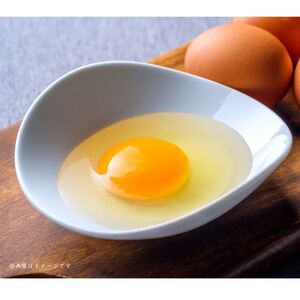 小川エッグの赤たまごLサイズ贈答用 120個 赤たまご たまご 卵 玉子 タマゴ 新鮮 旨み 甘み 贈答用 贈答 ギフト 贈り物 千葉県 匝瑳市