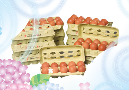 小川エッグの赤たまごLサイズ贈答用 120個 赤たまご たまご 卵 玉子 タマゴ 新鮮 旨み 甘み 贈答用 贈答 ギフト 贈り物 千葉県 匝瑳市