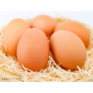 小川エッグの赤たまごLサイズ贈答用 80個 赤たまご たまご 卵 玉子 タマゴ 新鮮 旨み 甘み 贈答用 贈答 ギフト 贈り物 千葉県 匝瑳市