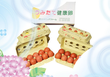 小川エッグの赤たまごLサイズ贈答用 80個 赤たまご たまご 卵 玉子 タマゴ 新鮮 旨み 甘み 贈答用 贈答 ギフト 贈り物 千葉県 匝瑳市