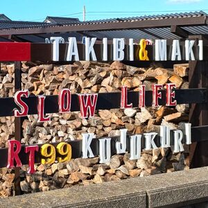 スウェーデントーチ 広葉樹 1本