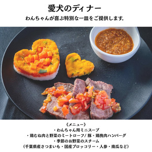 愛犬と癒しの旅　ナガラミリゾートSOSA ご宿泊利用券 6万円分 ／ 宿泊 宿泊券 リゾート ヴィラ ホテル 犬 ペット ドッグラン ドッグマッサージ 温泉 サウナ プール 旅行 リゾート旅