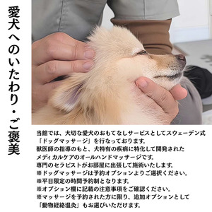 愛犬と癒しの旅　ナガラミリゾートSOSA ご宿泊利用券 3万円分 ／ 宿泊 宿泊券 リゾート ヴィラ ホテル 犬 ペット ドッグラン ドッグマッサージ 温泉 サウナ プール 旅行 リゾート旅