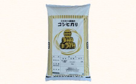 匝瑳市産　コシヒカリ　精米　10kg ／ 米 こめ コメ お米 おこめ コシヒカリ こしひかり 令和7年 新米 白米 精米 ごはん 10kg 定期便 送料無料