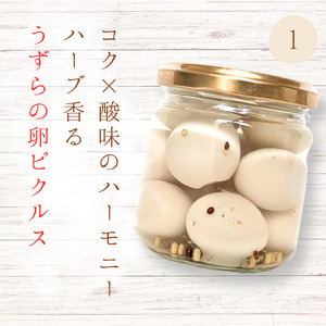 メルカドレグメス ピクルス 3種セット / ピクルス ミニトマト うずらの卵 旬の野菜 自家製 セット 詰め合わせ