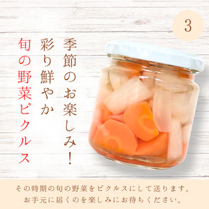 メルカドレグメス ピクルス 3種セット / ピクルス ミニトマト うずらの卵 旬の野菜 自家製 セット 詰め合わせ