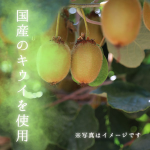 メルカドレグメス ドライフルーツ キウイフルーツ / ドライフルーツ フルーツ 果物 くだもの キウイ キウイフルーツ 自家製 3000円