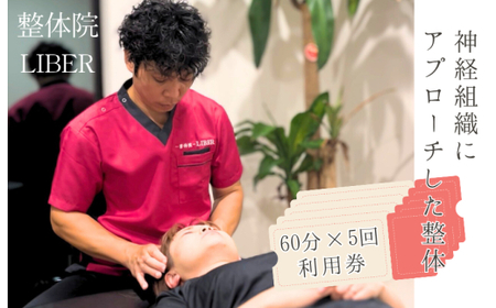 整体院 LIBER　神経組織にアプローチした整体　60分×5回 利用券 ／ 整体 整体院 肩こり 腰痛 関節痛