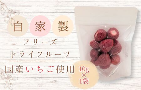 メルカドレグメス　フリーズドライフルーツ　いちご ／ フリーズドライフルーツ フリーズドライ フルーツ 果物 くだもの いちご イチゴ 苺 自家製 3000円