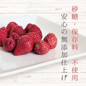 メルカドレグメス　フリーズドライフルーツ　いちご ／ フリーズドライフルーツ フリーズドライ フルーツ 果物 くだもの いちご イチゴ 苺 自家製 3000円
