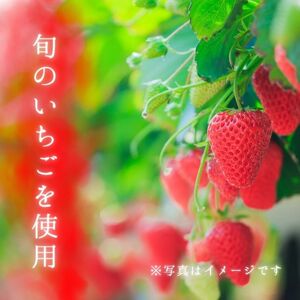 メルカドレグメス　フリーズドライフルーツ　いちご ／ フリーズドライフルーツ フリーズドライ フルーツ 果物 くだもの いちご イチゴ 苺 自家製 3000円