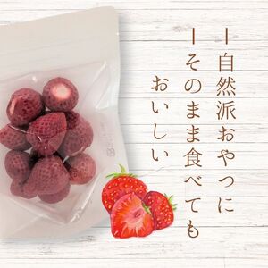 メルカドレグメス　フリーズドライフルーツ　いちご ／ フリーズドライフルーツ フリーズドライ フルーツ 果物 くだもの いちご イチゴ 苺 自家製 3000円