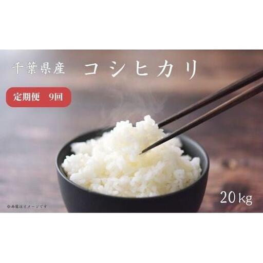 【定期便9回】《 令和7年産 》千葉県産コシヒカリ20kg ／ 米 こめ コメ お米 おこめ コシヒカリ こしひかり 令和7年 新米 白米 精米 ごはん 20kg 定期便 送料無料